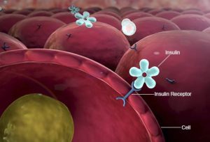 symptoms-diabetes